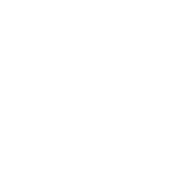 AccentonSkin_Logo