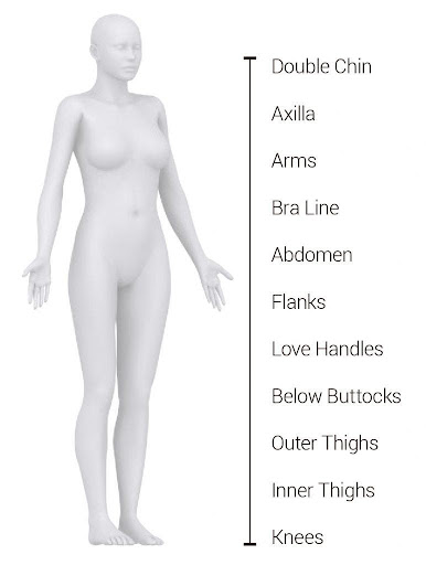 Fat Freezing Treatment Areas